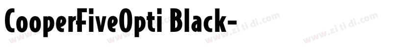 CooperFiveOpti Black字体转换